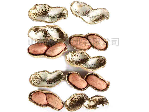 濰花25號(hào)生產(chǎn)